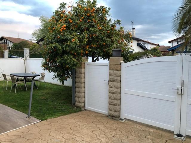 Les Hirondelles 2Km De La Plage-Jardin-Wifi-Parking-Draps Et Serviettes Hendaye Εξωτερικό φωτογραφία