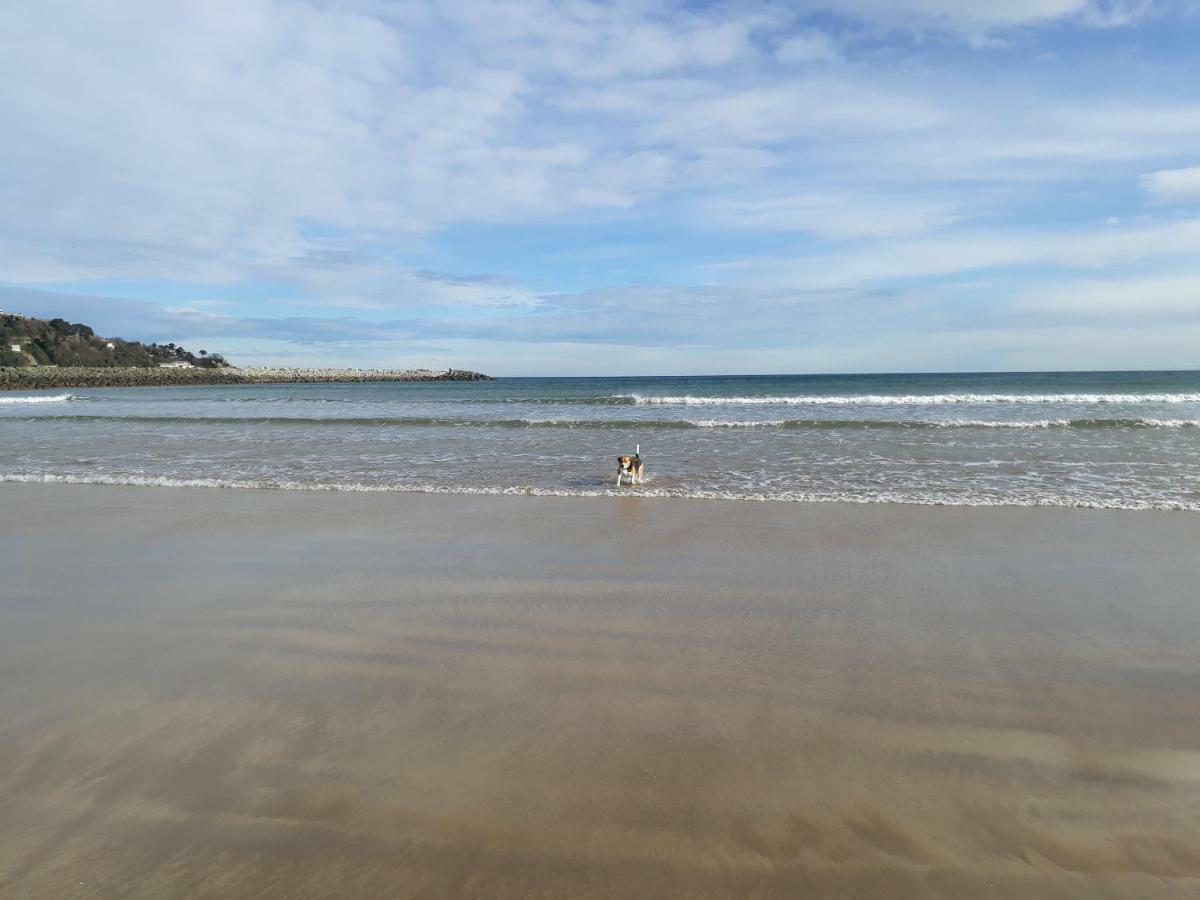 Les Hirondelles 2Km De La Plage-Jardin-Wifi-Parking-Draps Et Serviettes Hendaye Εξωτερικό φωτογραφία