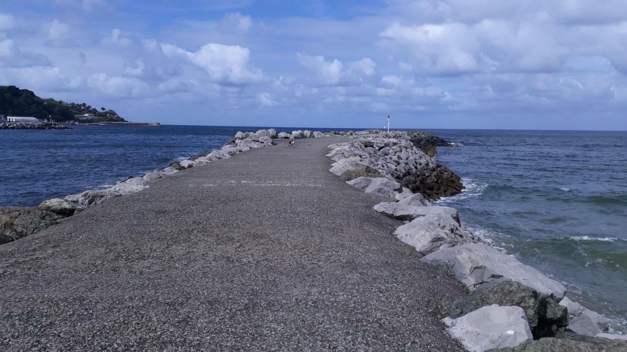 Les Hirondelles 2Km De La Plage-Jardin-Wifi-Parking-Draps Et Serviettes Hendaye Εξωτερικό φωτογραφία